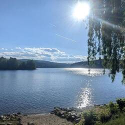 Spaziergang am See