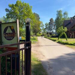 Unser Campingplatz mitten im Wald