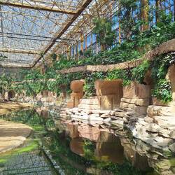 Lodges in EDENYA