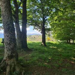 Mittagsrast, auf dem Col