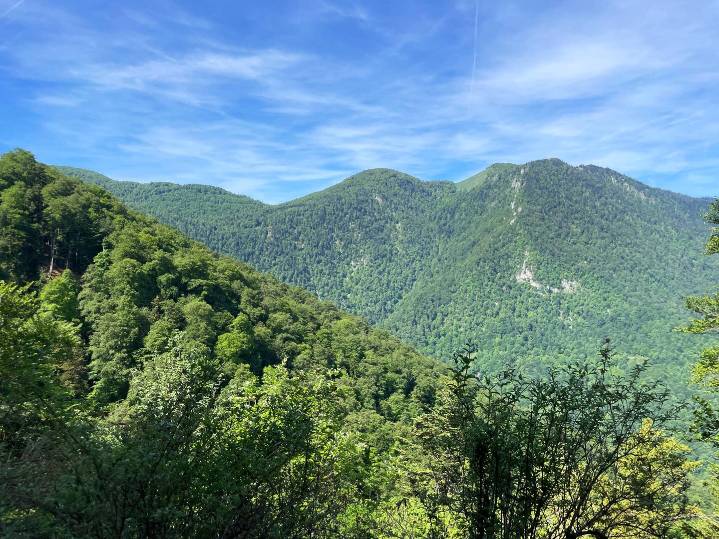 A nice view on the walk