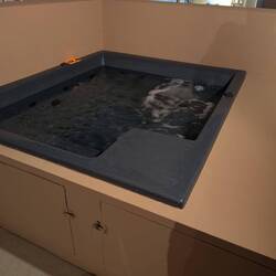 Whirlpool auf der Terrasse