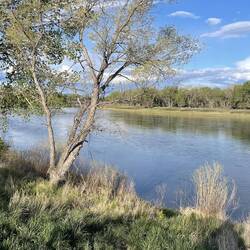 A view of the river from Coal Banks camping area.