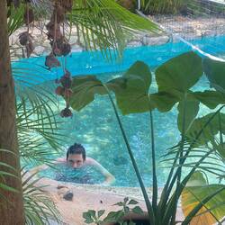 Alligator dans la piscine haha