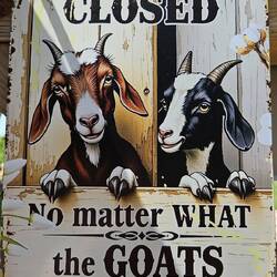 Buttercups Sanctuary for Goats bei Maidstone