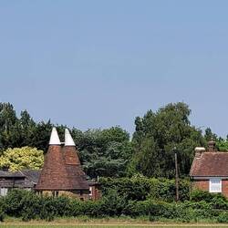 ...die traditionellen Oast Houses