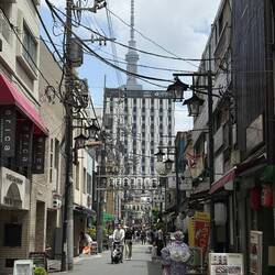Der Skytree Turm ist immer irgendwo im Blickfeld.
