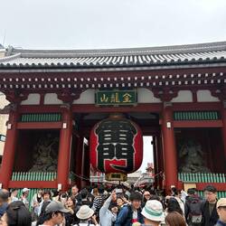 Das Kaminarimon Tor vom dem Sensoji Tempel in Aakusa.