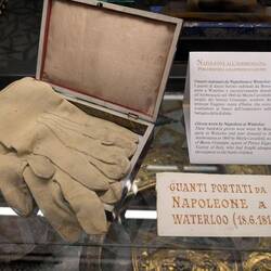 Napoleon's Gloves