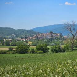 Monterchi