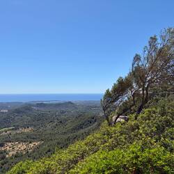 Blick auf den Naturhafen von Portocolom