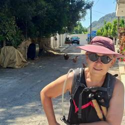 La podonaute crétoise doit savoir se frayer un chemin au milieu des poules à Voutas 😉