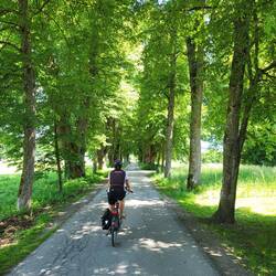 Lindenallee