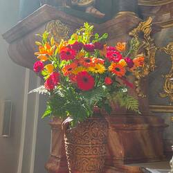 Bloemen in zonlicht gevangen.