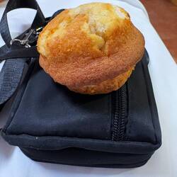 Day old corn muffin bought at the market last night so I'd have some breakfast.