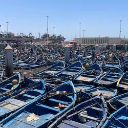 Viele, viele kleine Fischerboote
