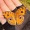 A Peacock Pansy in the palm of Amanda's hand
