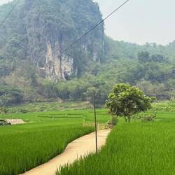 Paddy paths