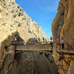 Looking back. Very cool to walk across the bridge and be this high up in the gorge.
