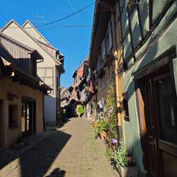 Eguisheim 🍷
