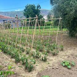 Magnifique jardin