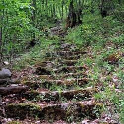 Nach dem Mittagessen eine kleine Erkundung im Wald.... wo wohl die Treppe hinführt?
