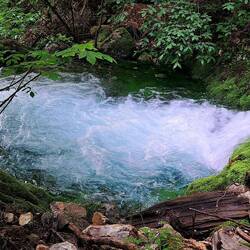 ...und die Natur sowie das Wasser glasklar zeigt...