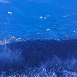 Blaues Wasser