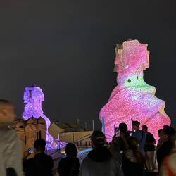 These are projected illuminations on the exterior roof structures