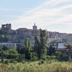 Looking back at Viana