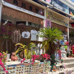 Hawaii-Vibes in Hase am Pazifik.