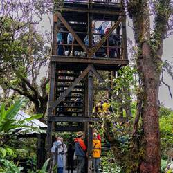 The tower with a viewing platform. There's so many more people on there than the pic shows... 😁