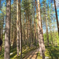 spaziergang am freistehplatz