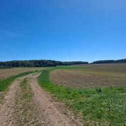 selten ging es oben ohne Wald durch Felder