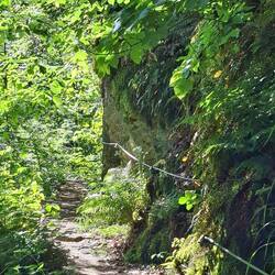 fast schon alpine Wege oberhalb des Liesertals