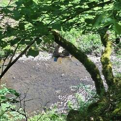 unten gurgelt der Fluss