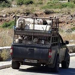 Bus à impériale 🤪😂
