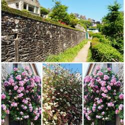 Küstenweg in Cancale