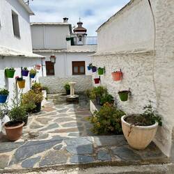 A thriving village