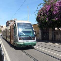 Straßenbahn in Rom