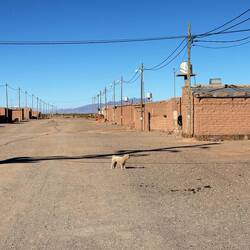 We made a visit to a tiny town of Cierro Negro to see how locals live