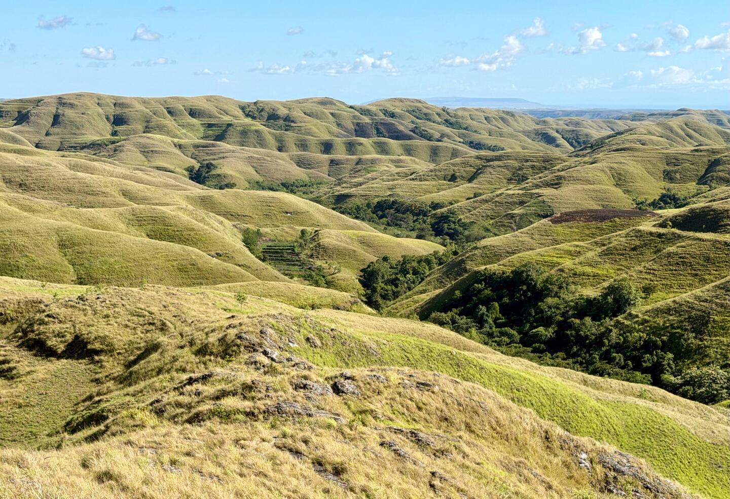 Bukit Wairinding: friedliche, grüne, sanfte Hügellandschaft