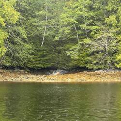 The little stream I'm anchored by in Kisameet Bay.