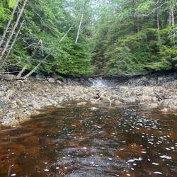 Another view of that little stream. This time from my kayak.