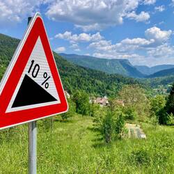 Auf und ab in endloser Waldlandschaft