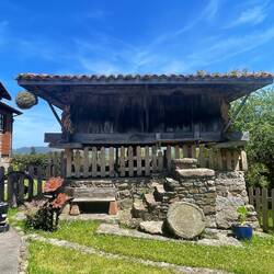 Hórreos are where grain and corn were stored. They're common in Asturias