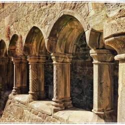 Sligo Abbey - Kreuzgang