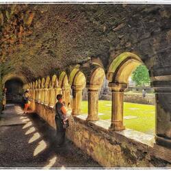Sligo Abbey - Kreuzgang