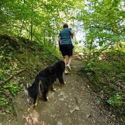Spaziergang zum Wasserfall