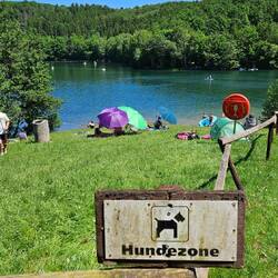 Hier sind Hunde willkommen ☺️ - Freilinger See